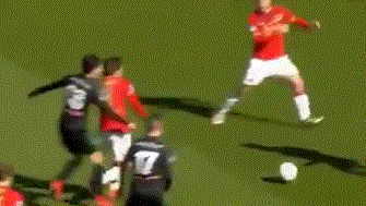 球时善于根 球时善于根